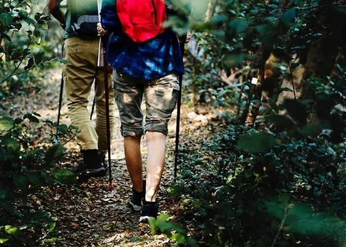 Schloss Schweinsburg 4* Neukirchen-Pleiße